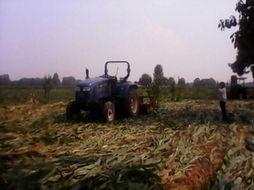 民间土地爆料视频,真实事件背后的土地争议与维权之路 第2张 民间土地爆料视频,真实事件背后的土地争议与维权之路 第2张